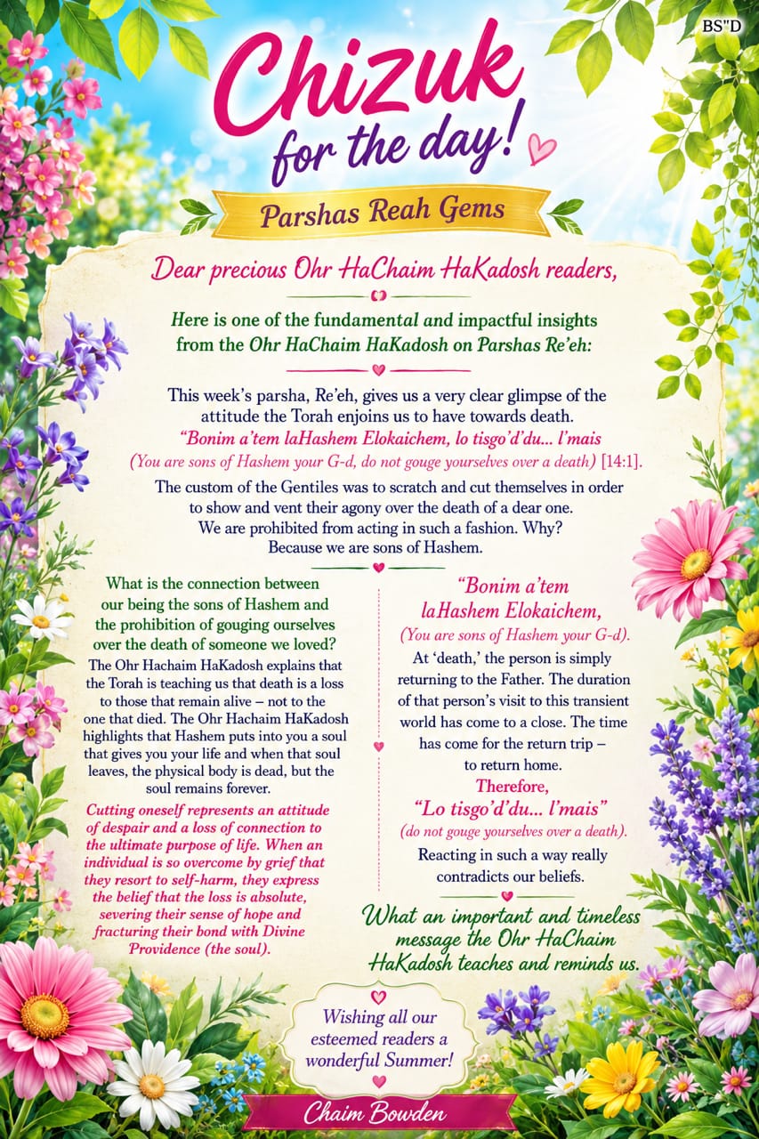Ohr HaChaim HaKadosh Gems - Rabbi Chaim Bowden