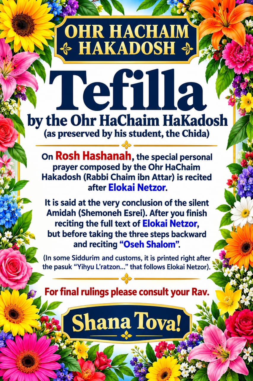 Ohr HaChaim HaKadosh Gems - Rabbi Chaim Bowden