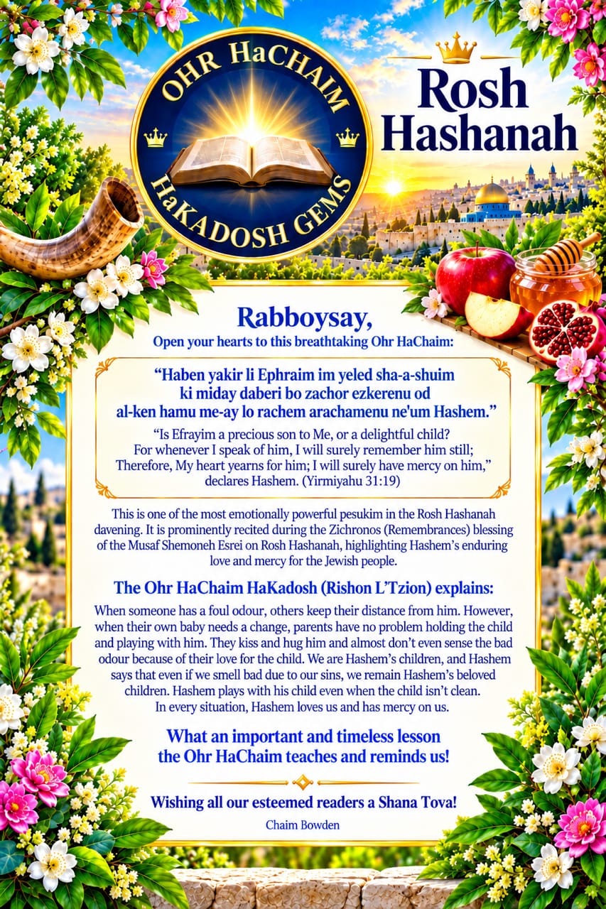 Ohr HaChaim HaKadosh Gems - Rabbi Chaim Bowden