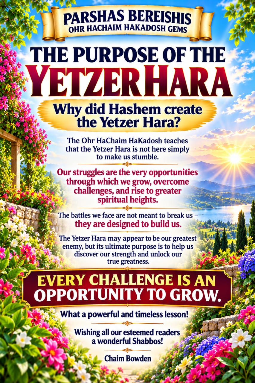 Ohr HaChaim HaKadosh Gems - Rabbi Chaim Bowden