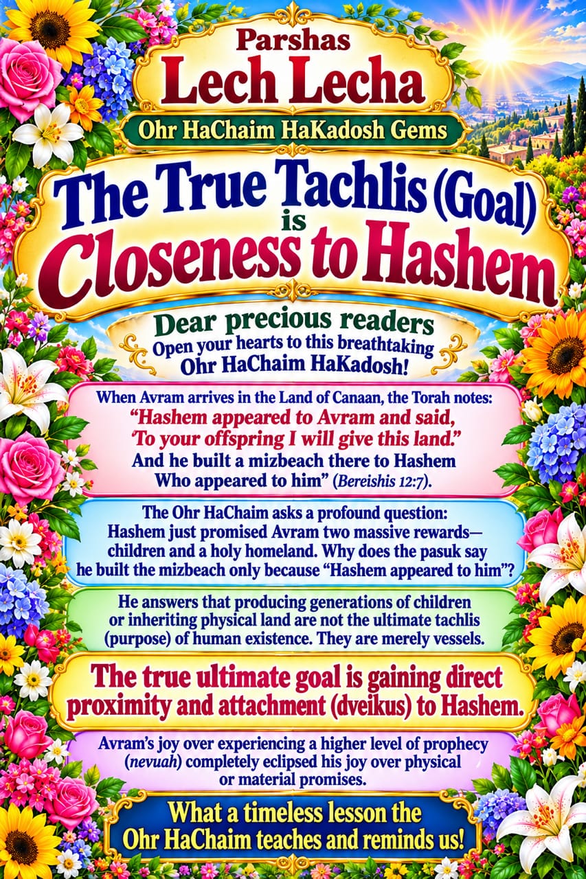 Ohr HaChaim HaKadosh Gems - Rabbi Chaim Bowden