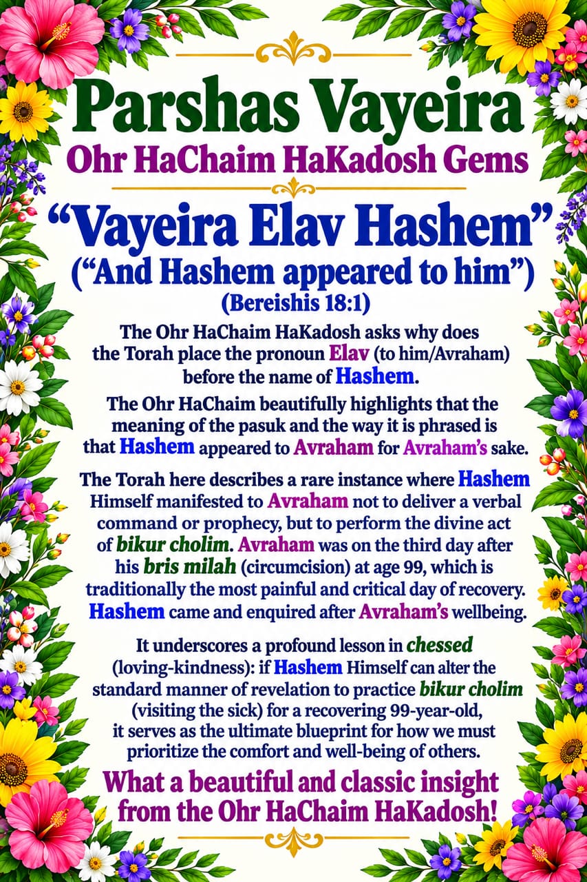 Ohr HaChaim HaKadosh Gems - Rabbi Chaim Bowden