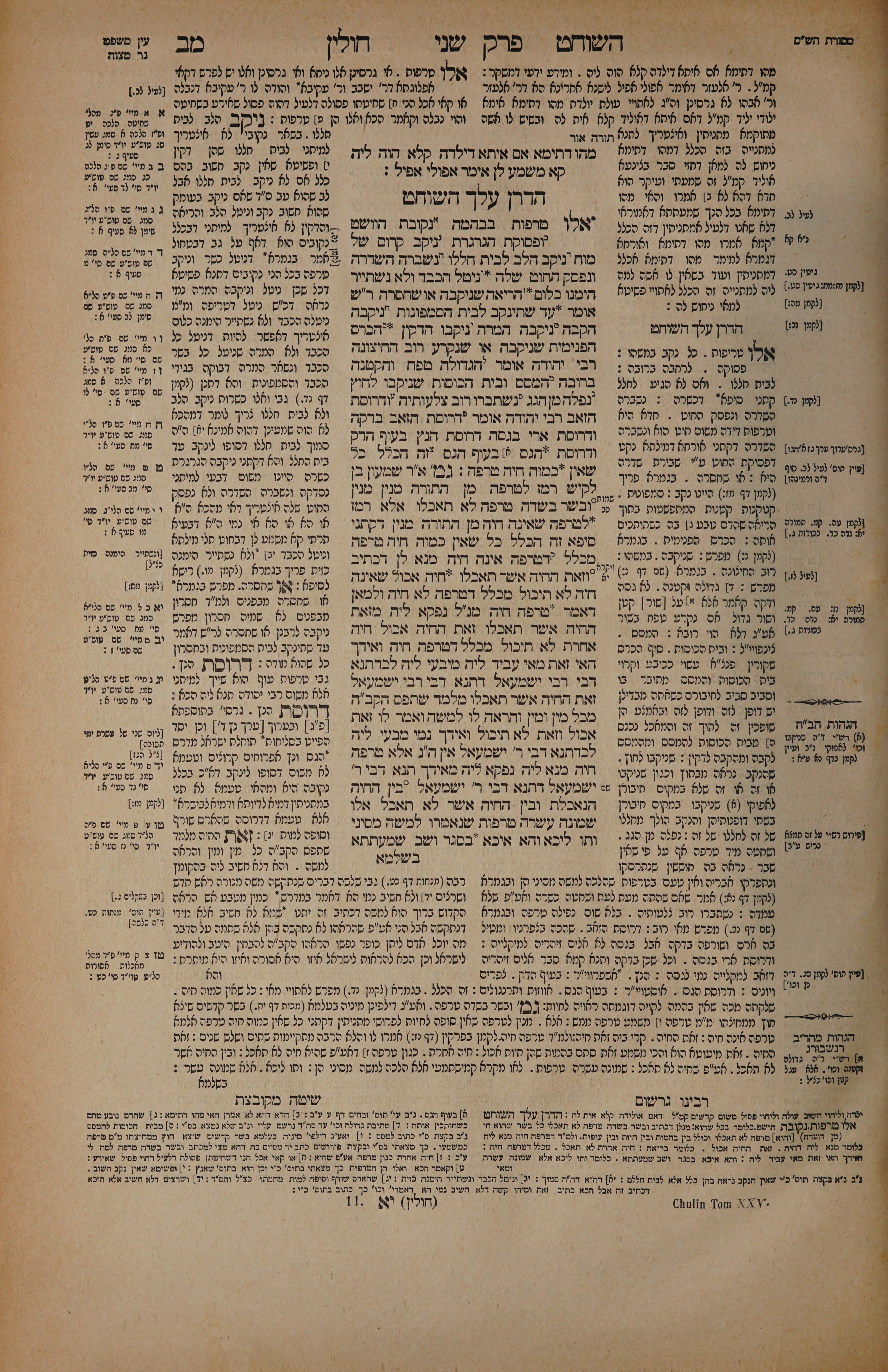 Chullin 42 — amud alef