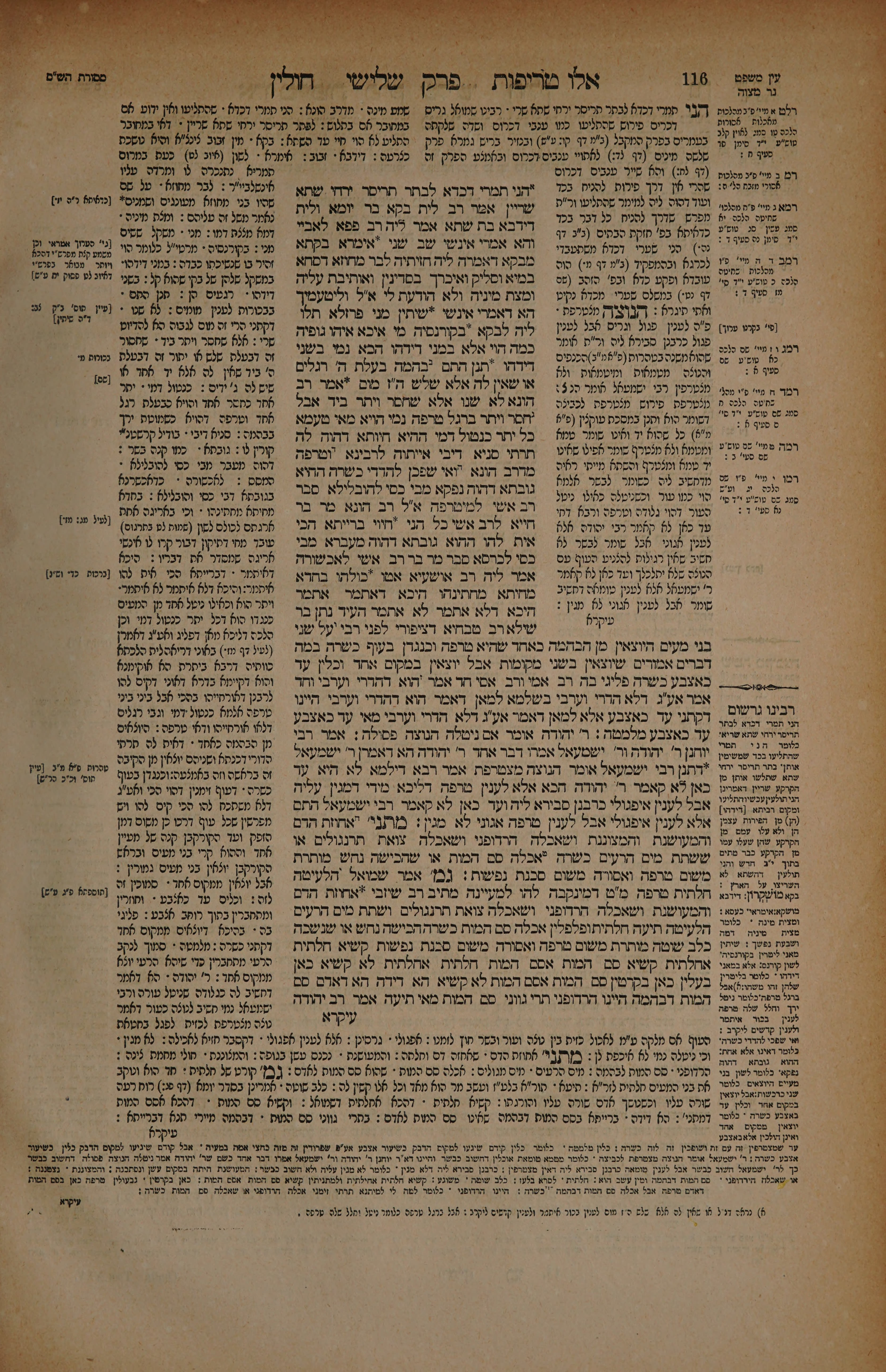 Chullin 58 — amud beis