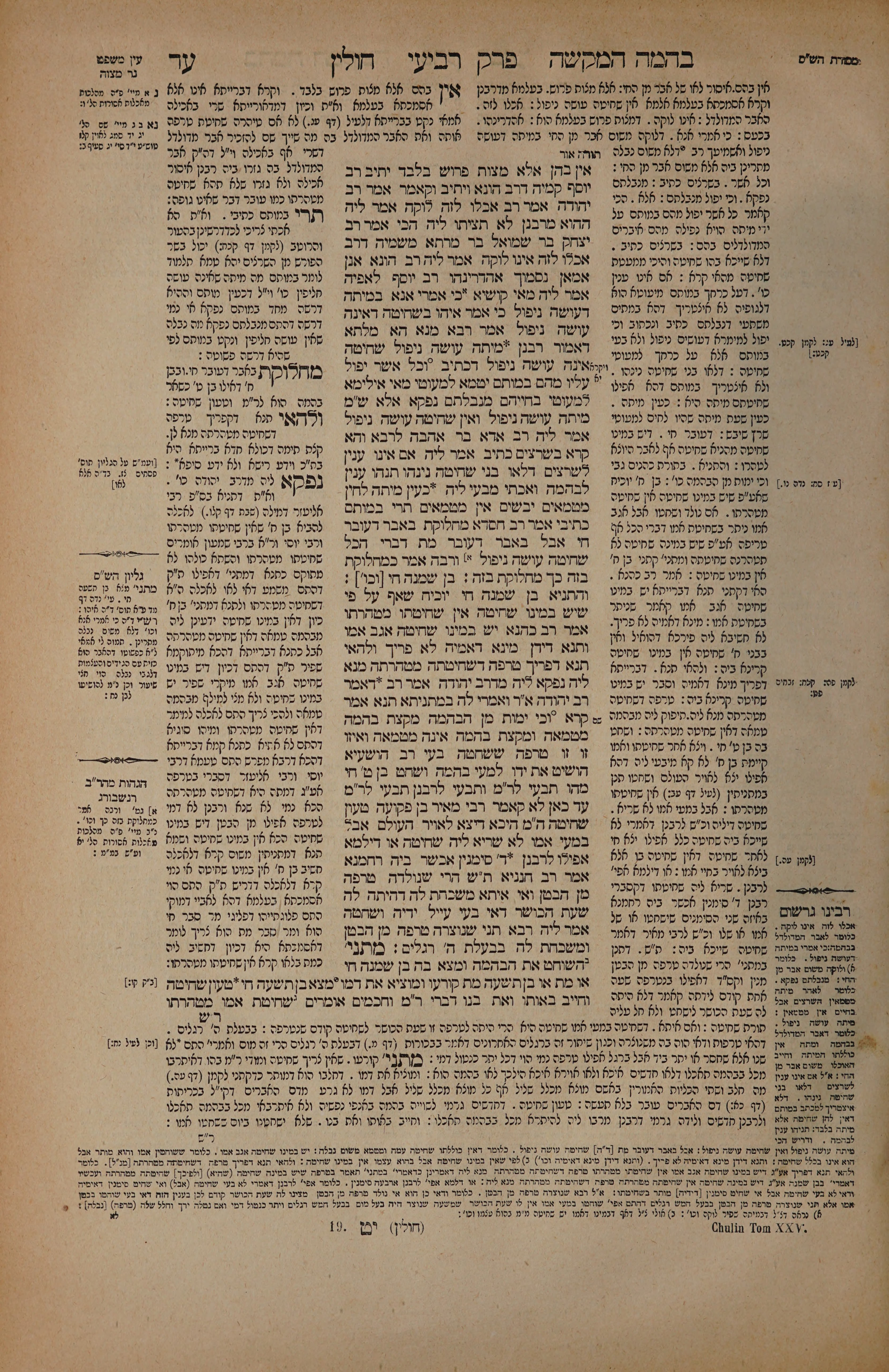 Chullin 74 — amud alef