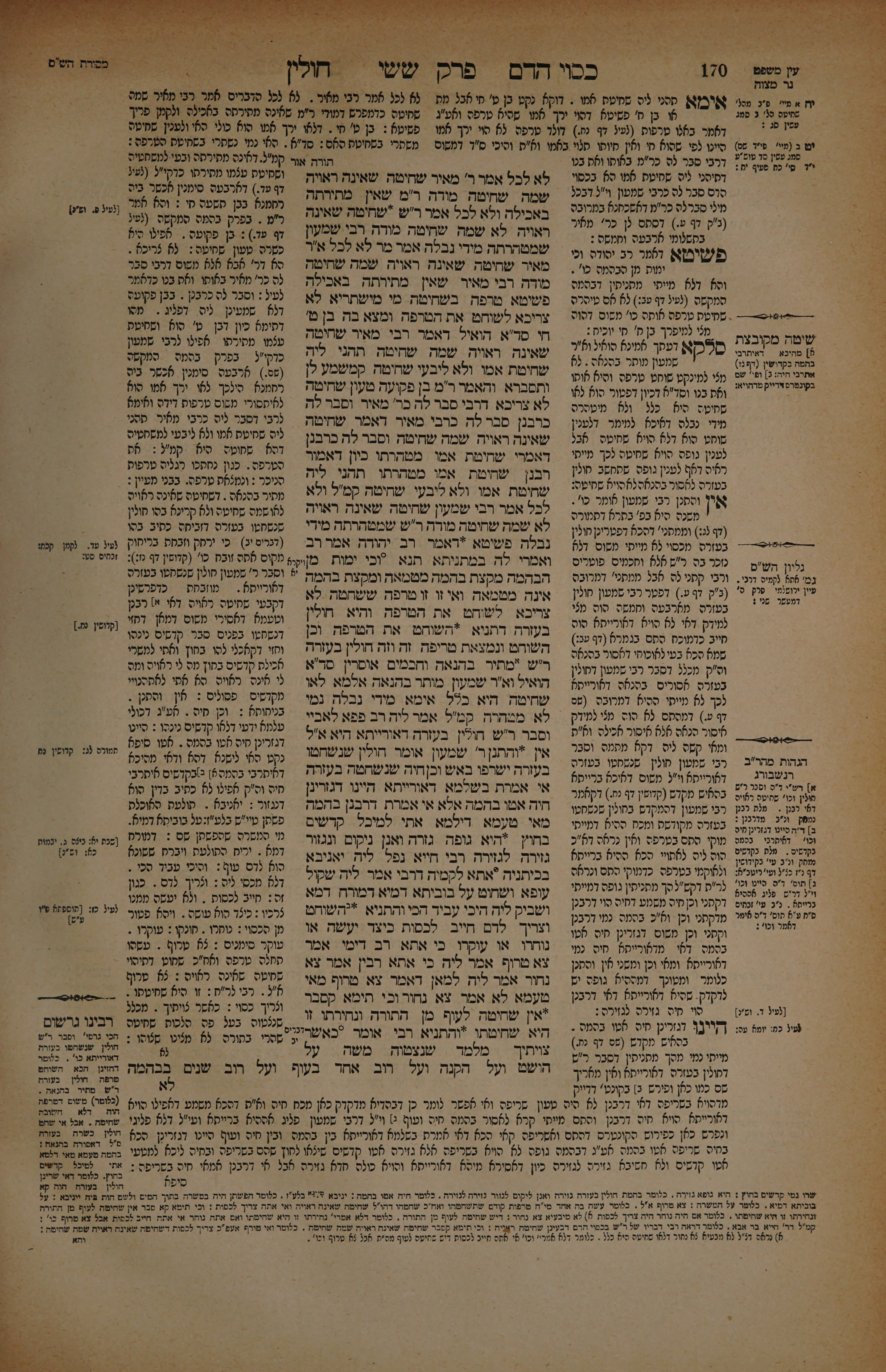 Chullin 85 — amud beis