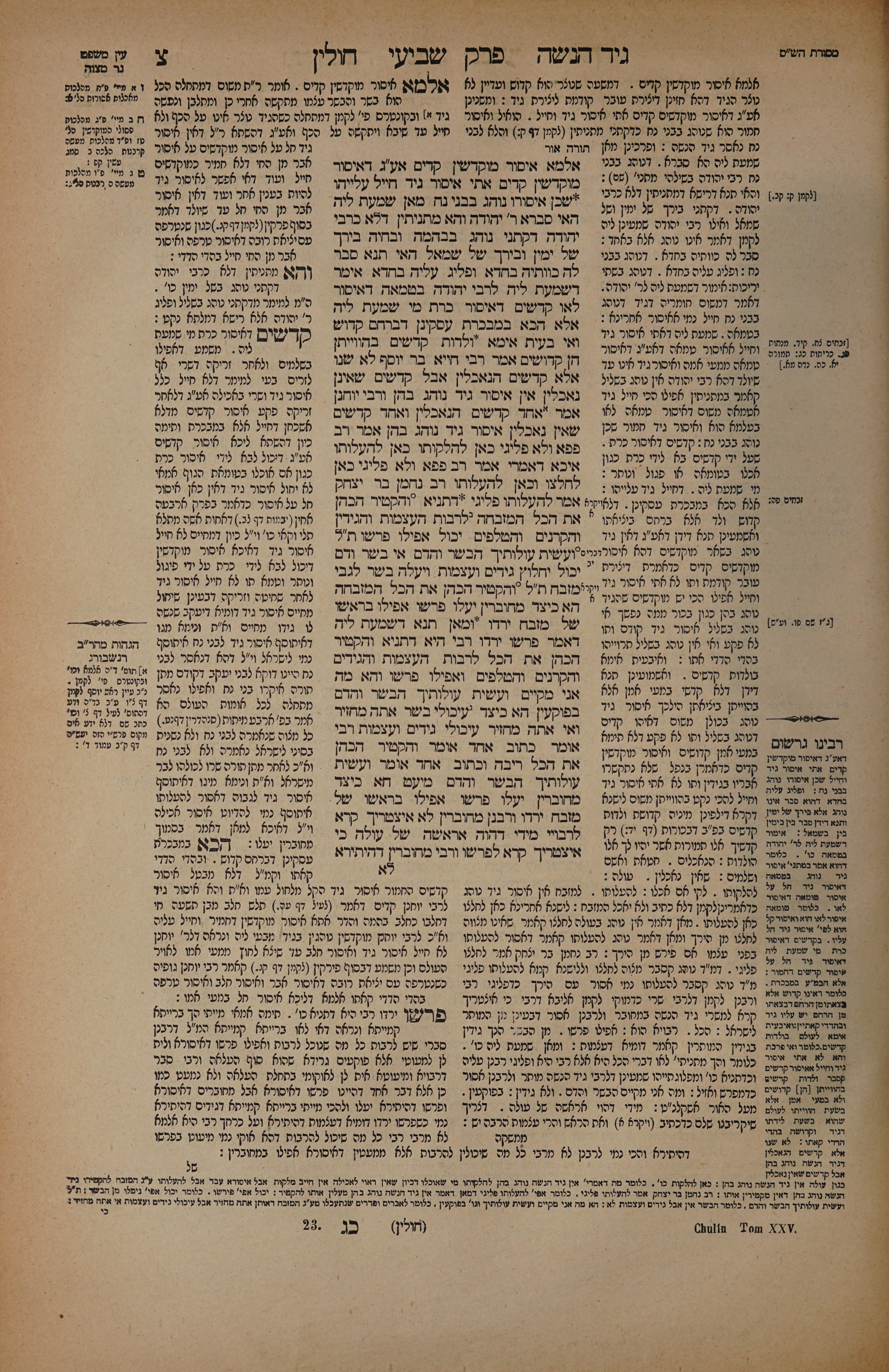 Chullin 90 — amud alef