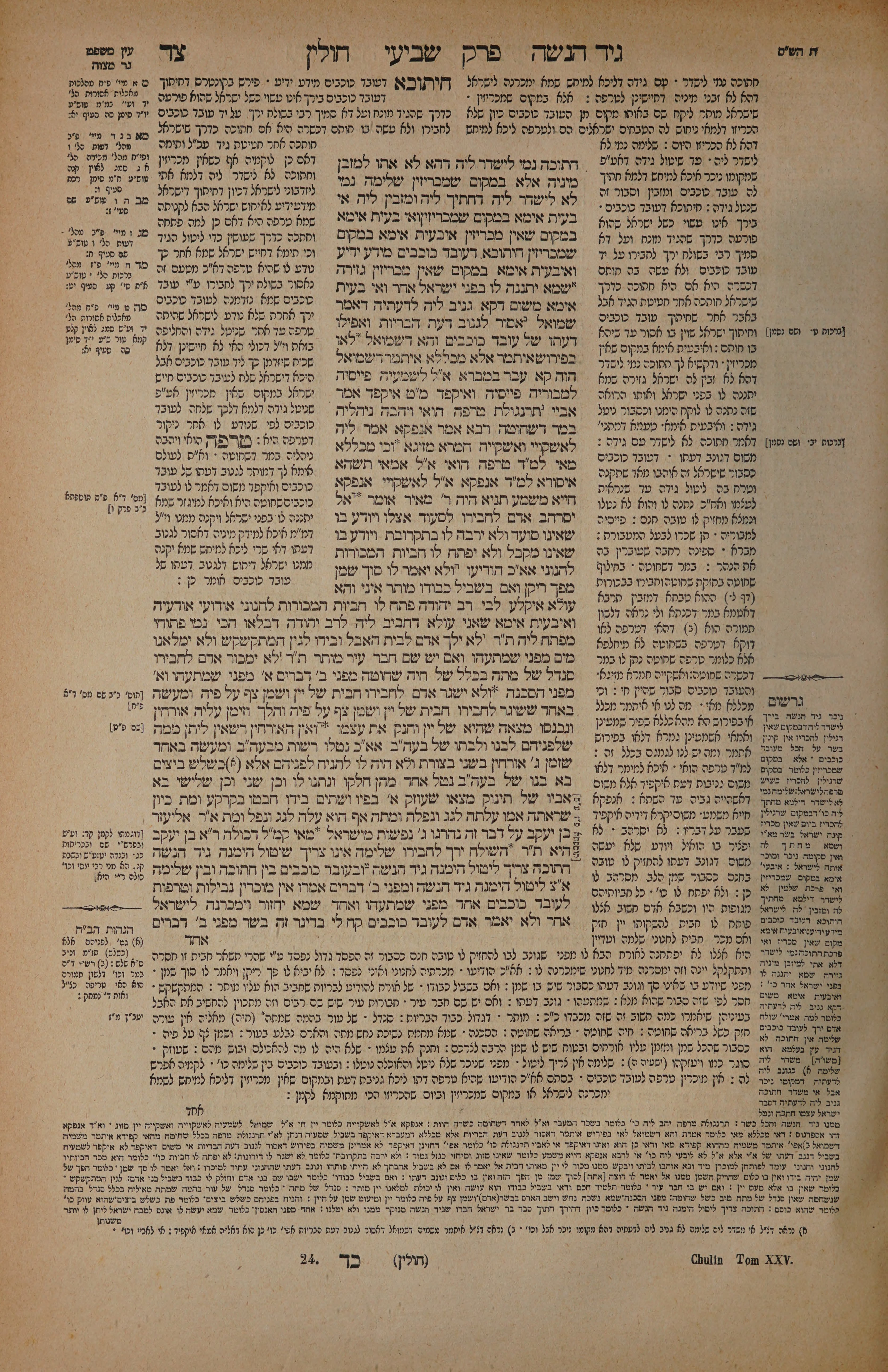Chullin 94 — amud alef