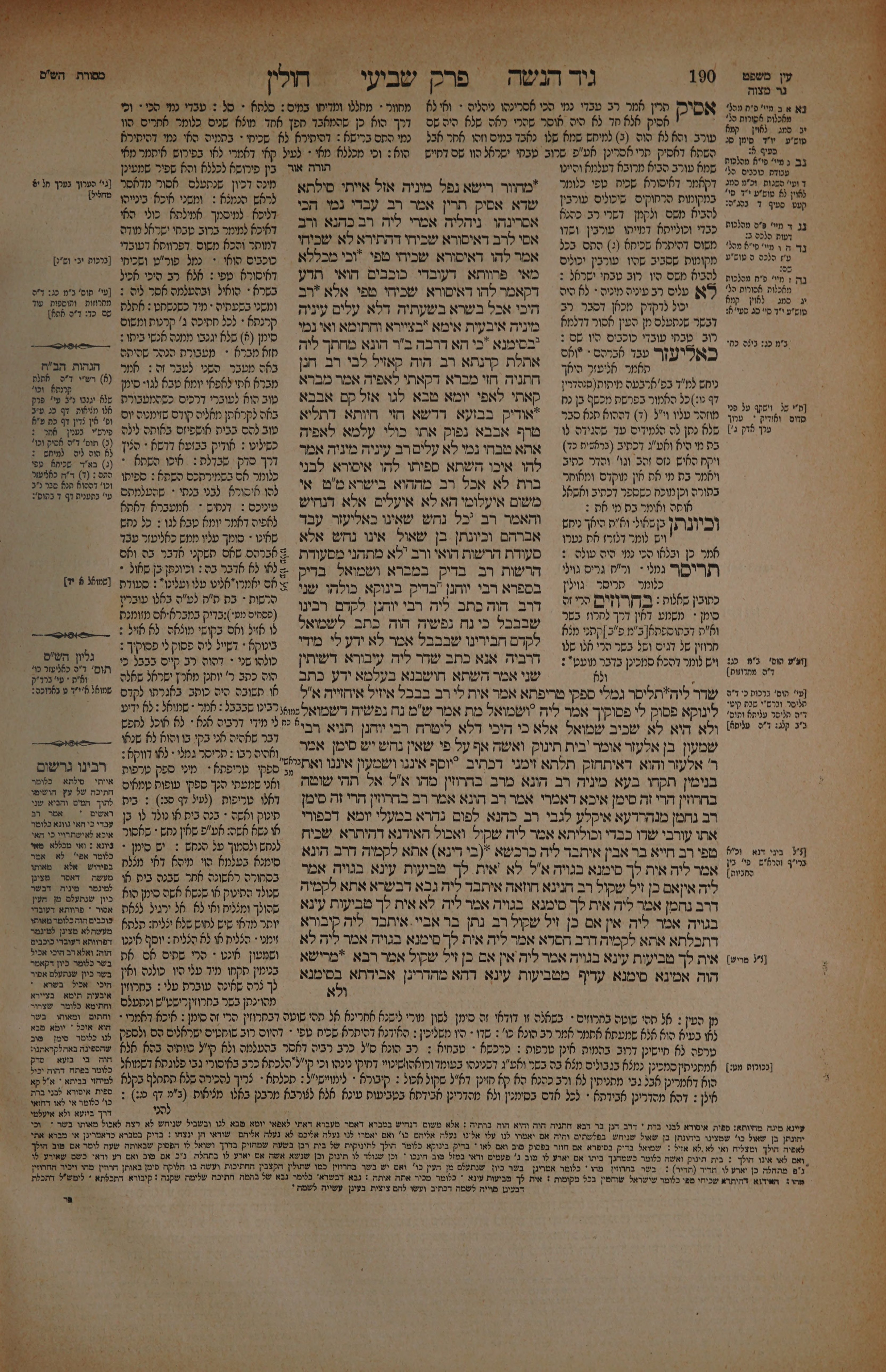 Chullin 95 — amud beis