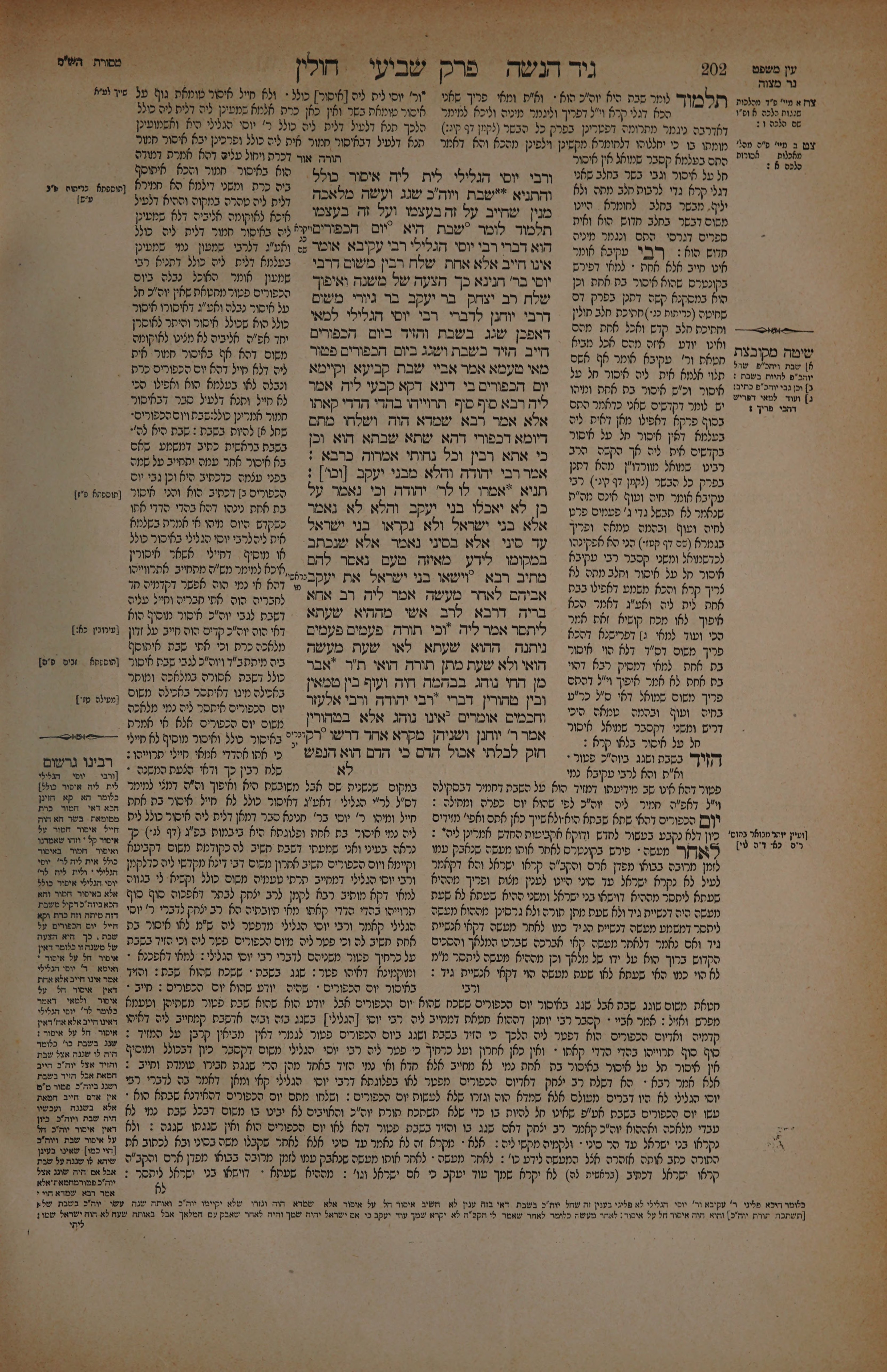 Chullin 101 — amud beis