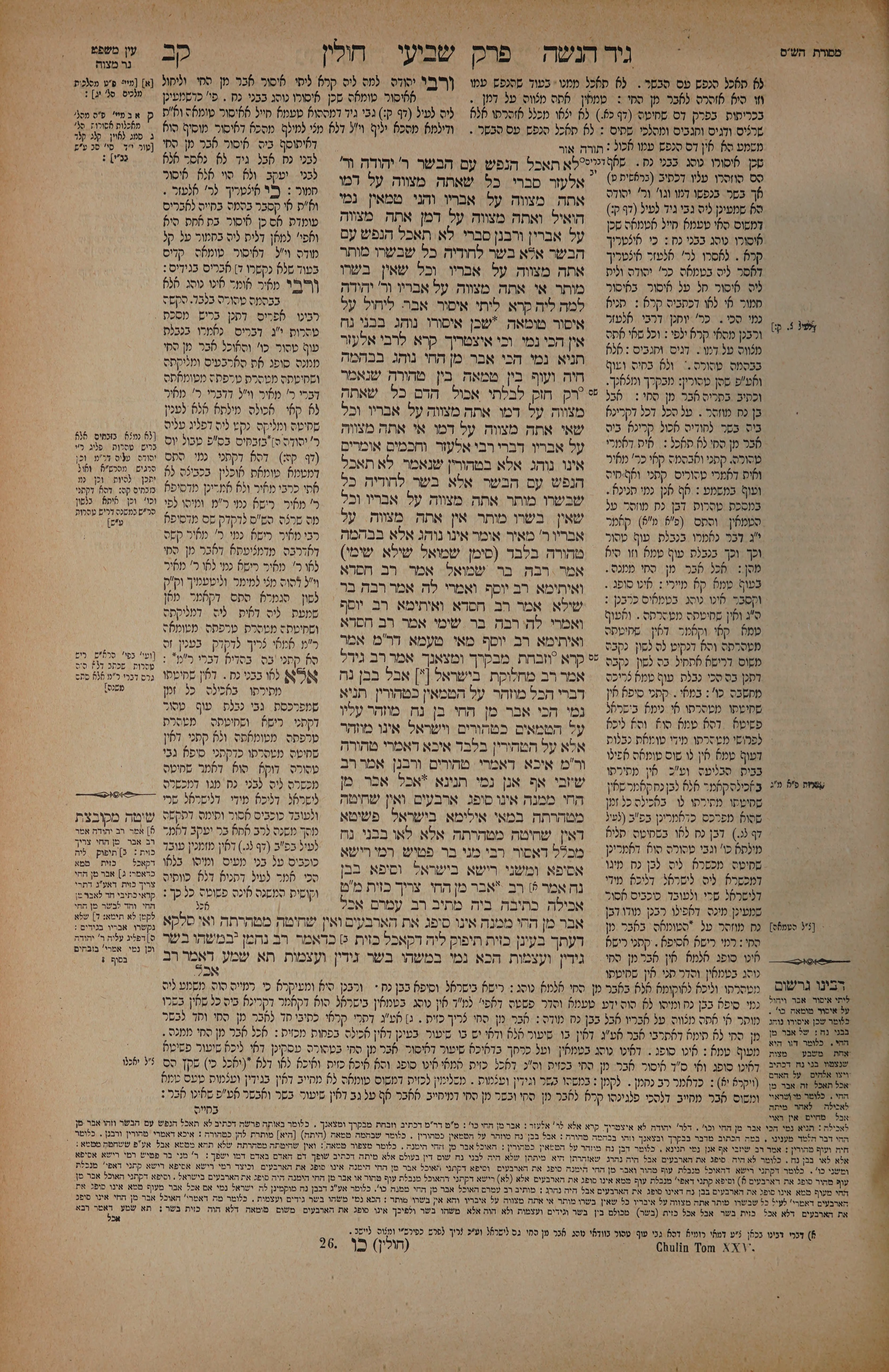 Chullin 102 — amud alef
