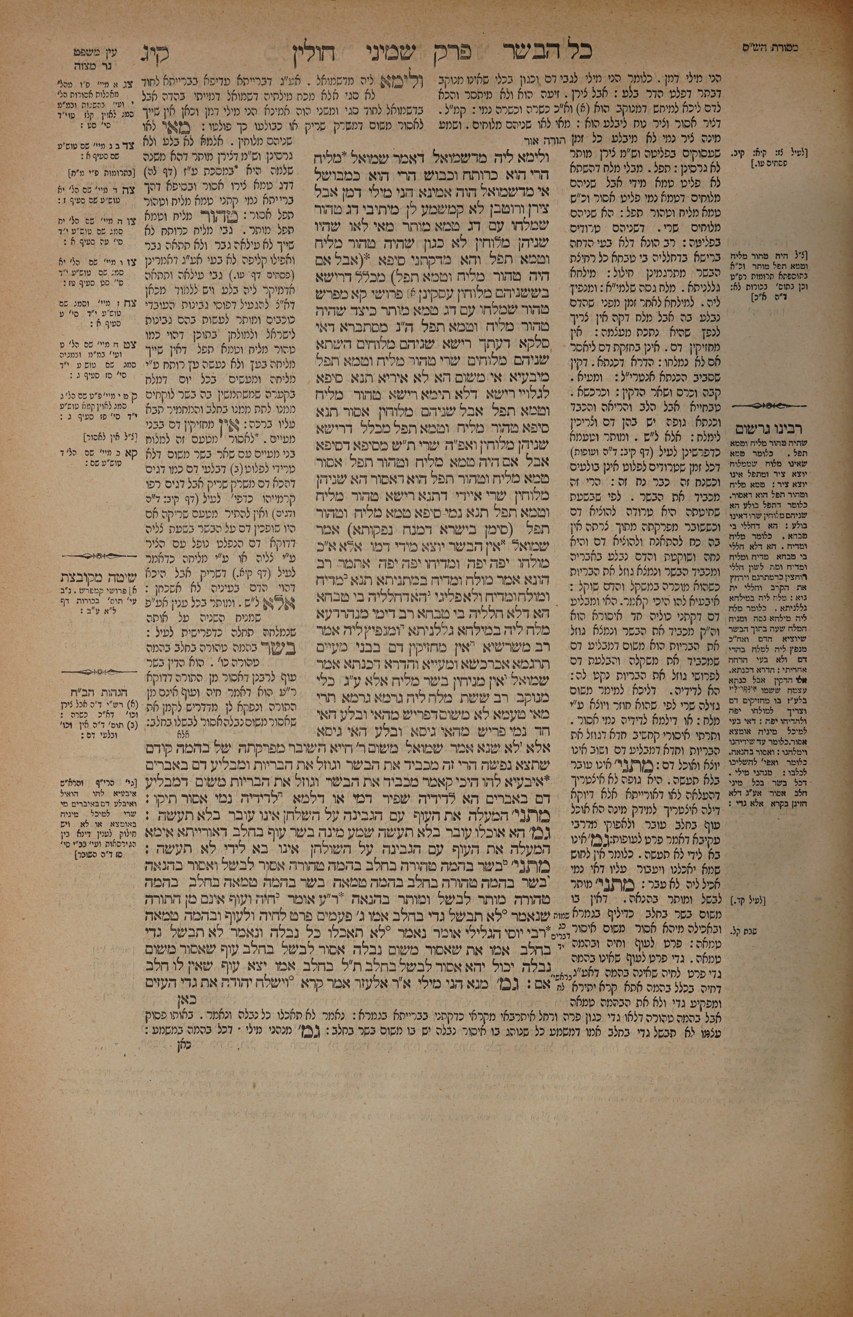 Chullin 113 — amud alef