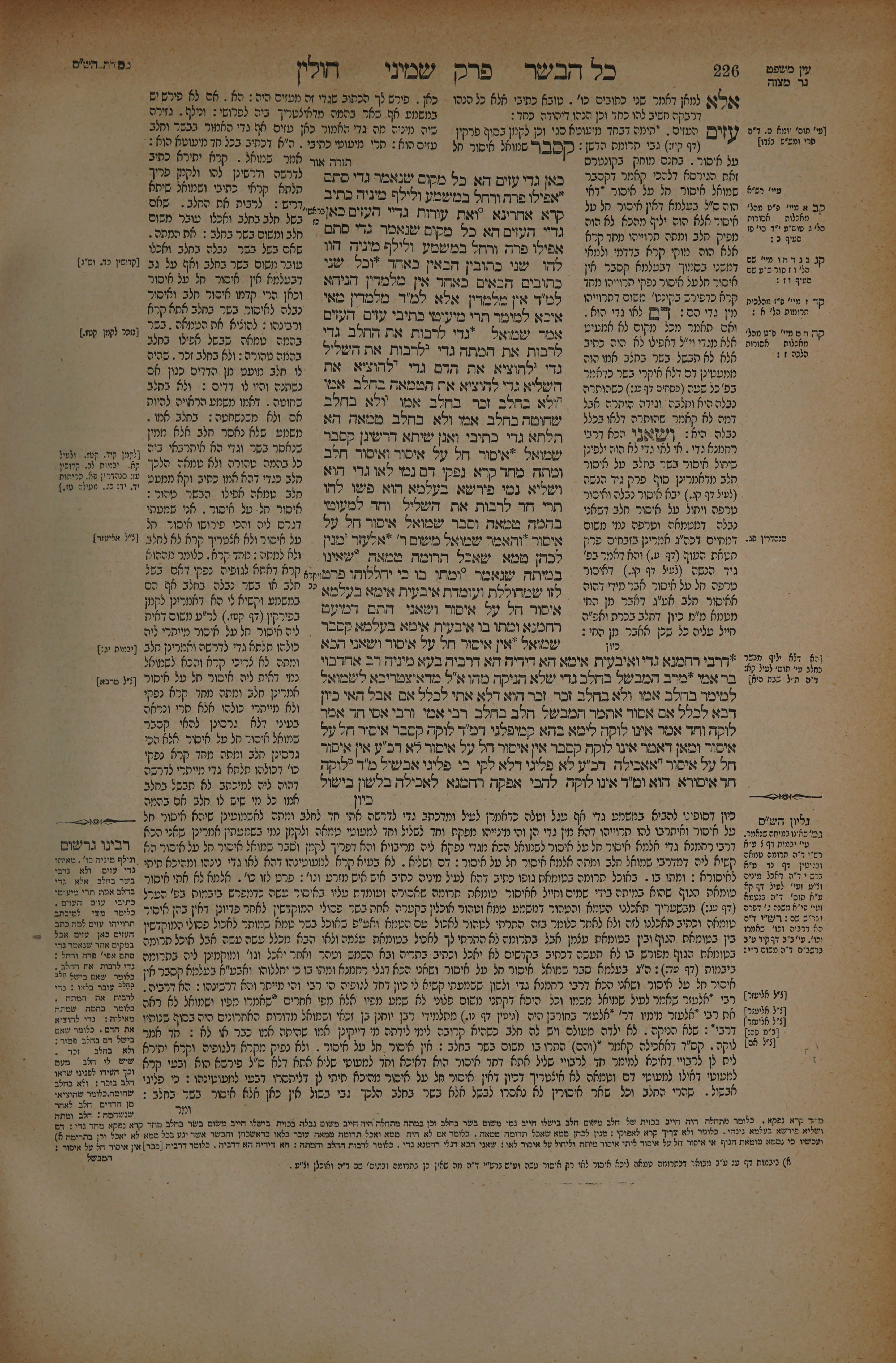 Chullin 113 — amud beis