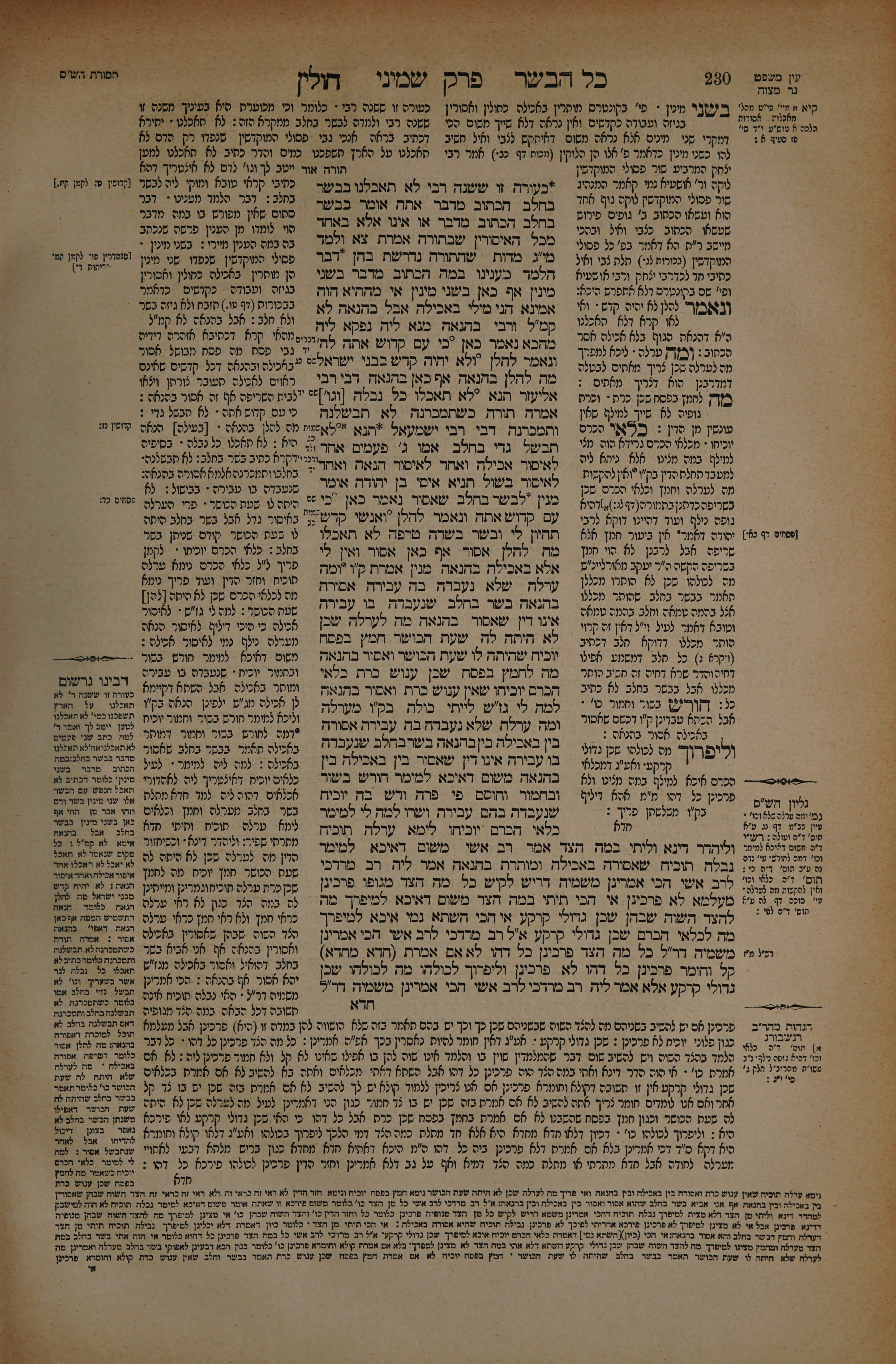 Chullin 115 — amud beis