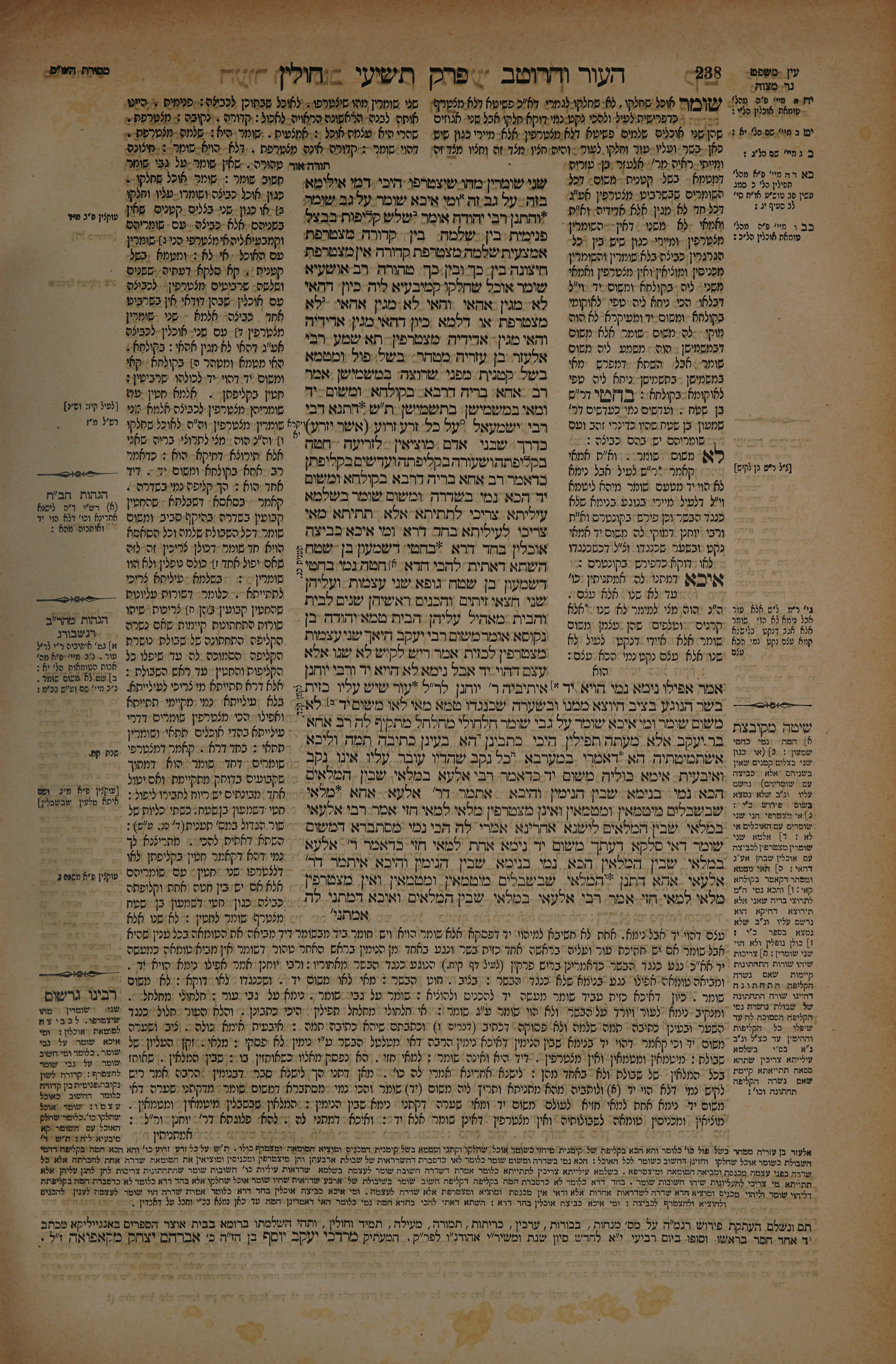 Chullin 119 — amud beis