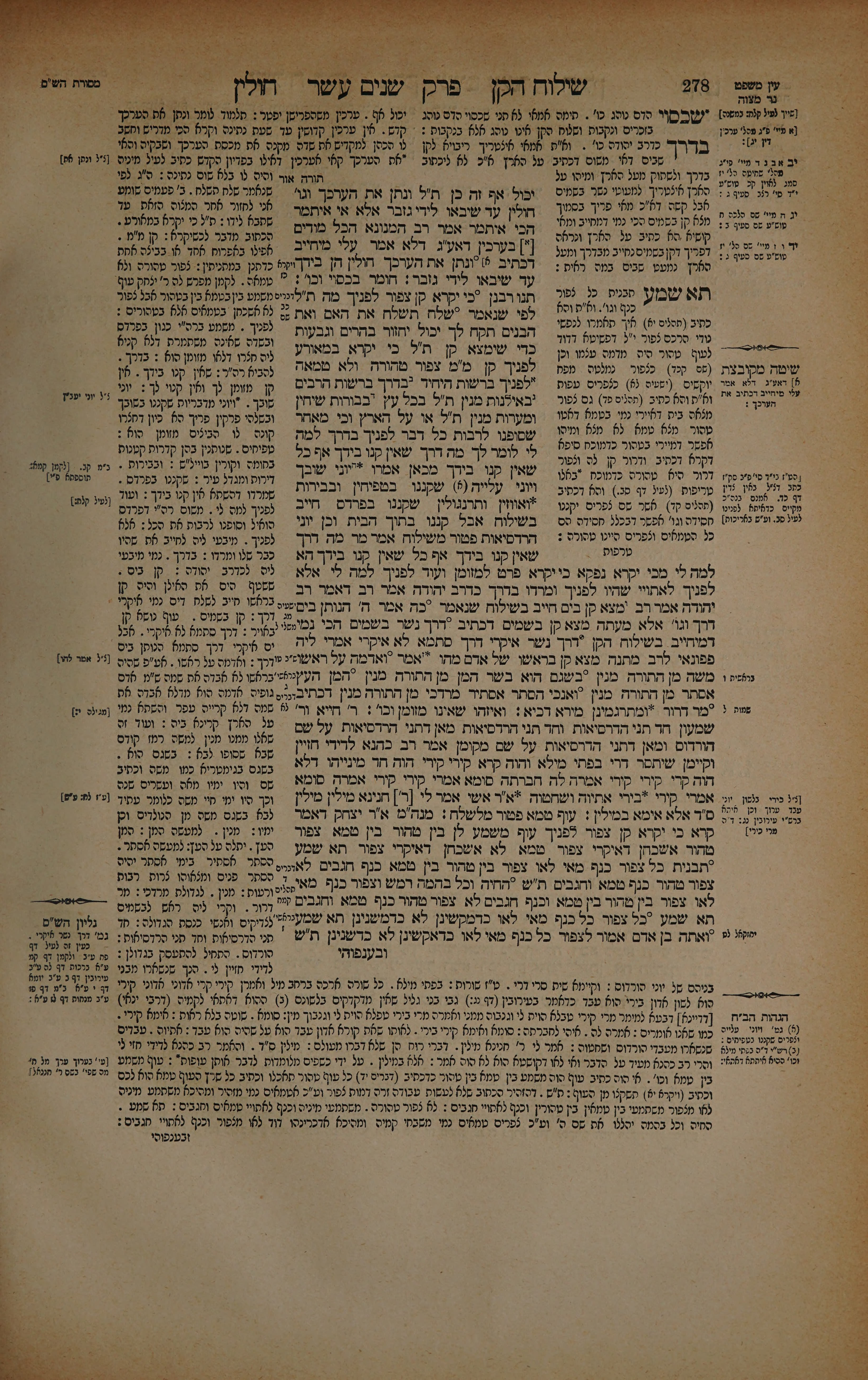 Chullin 139 — amud beis