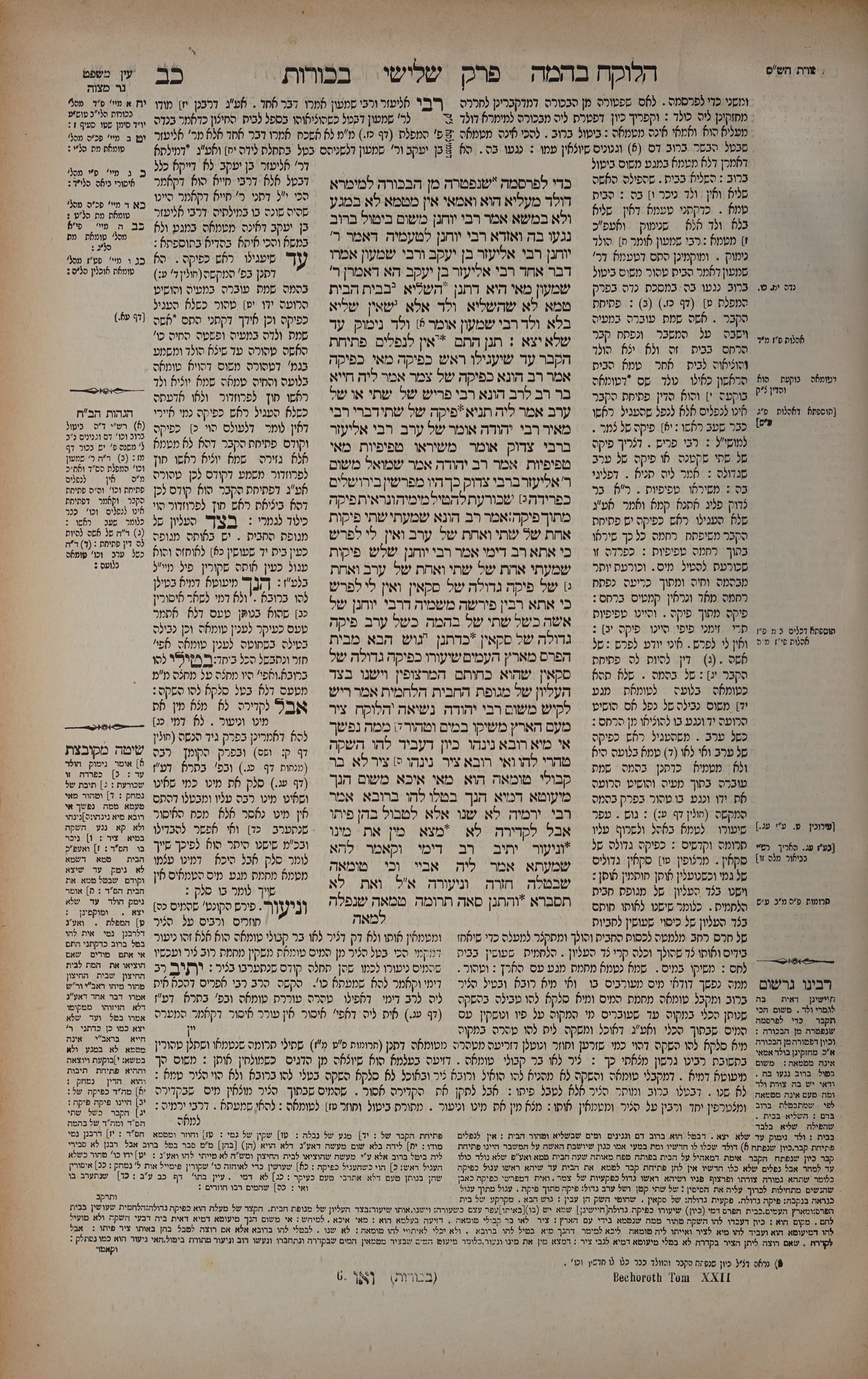 Bechoros 22 — amud alef
