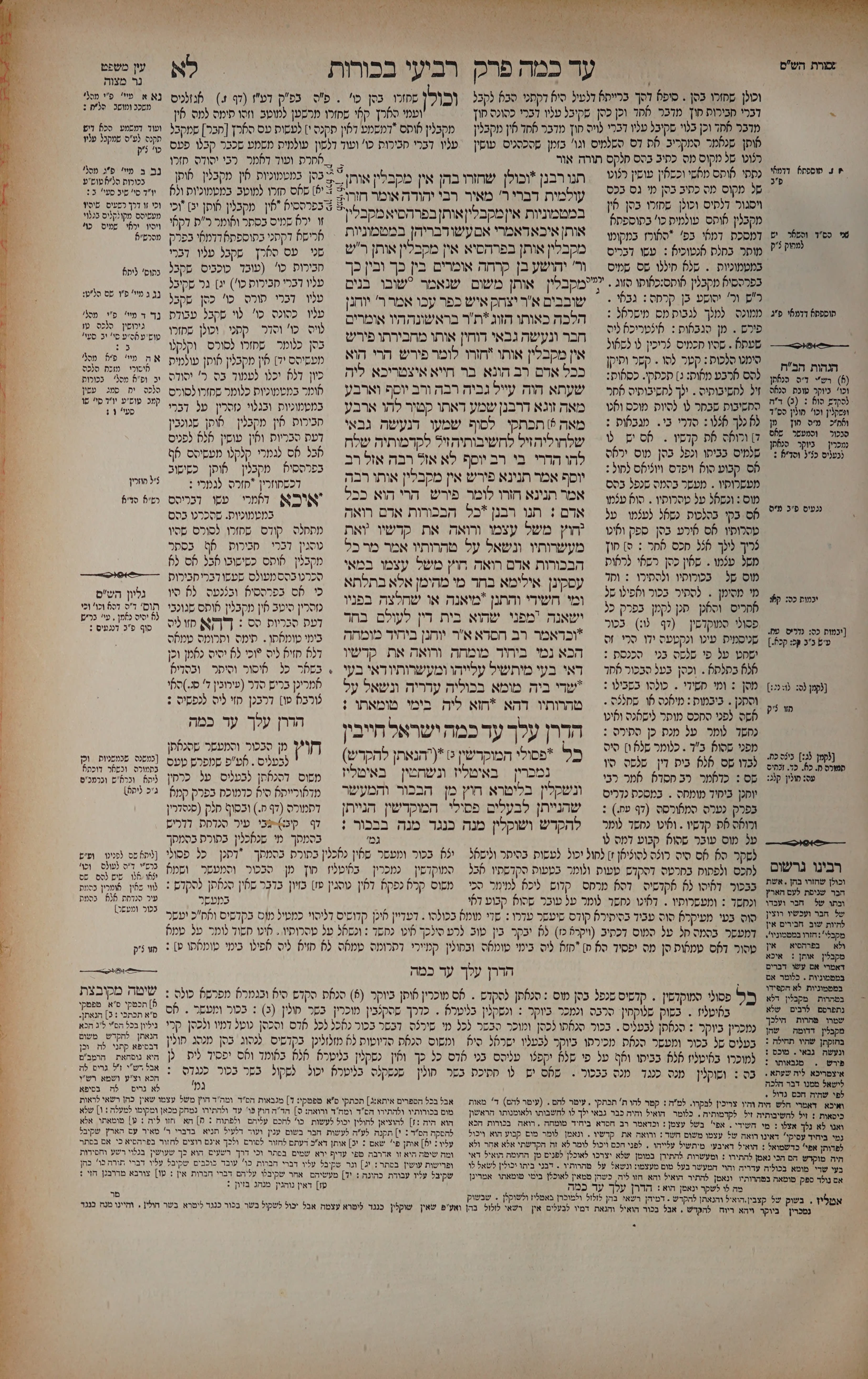 Bechoros 31 — amud alef
