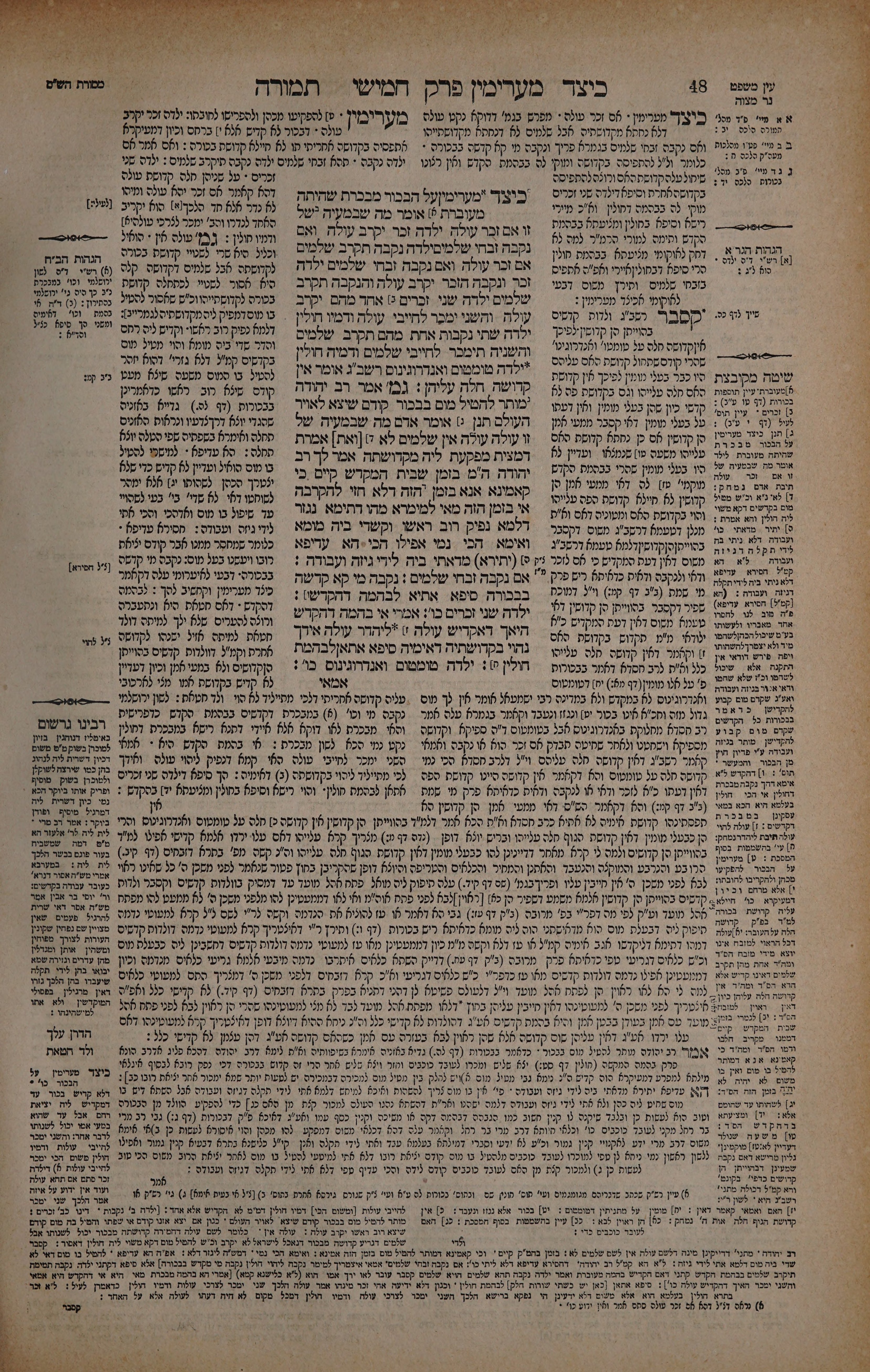 Temurah 24 — amud beis