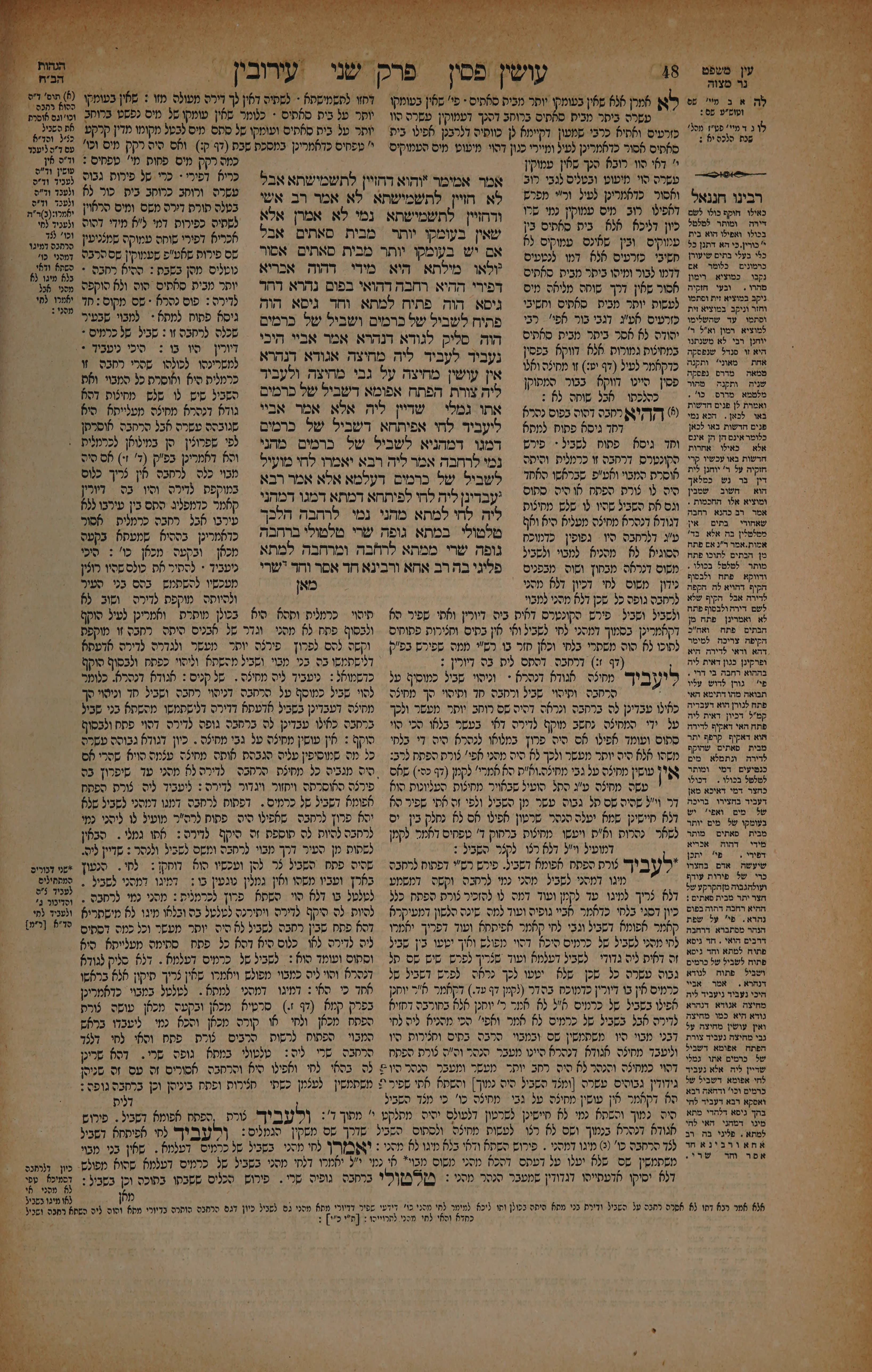 Eruvin 24 — amud beis